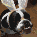DonutSMP mapart #10428 (uncategorised)