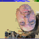 DonutSMP mapart #13807 (uncategorised)