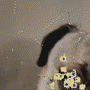 DonutSMP mapart #16730 (uncategorised)