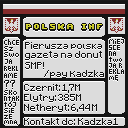 DonutSMP mapart #23641 (uncategorised)