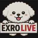 DonutSMP mapart #25564 (uncategorised)