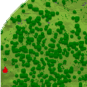 DonutSMP mapart #27309 (uncategorised)