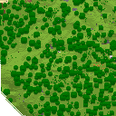 DonutSMP mapart #29950 (uncategorised)
