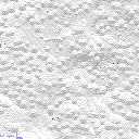 DonutSMP mapart #31360 (uncategorised)