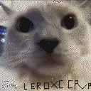 DonutSMP mapart #3271 (animals)