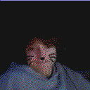DonutSMP mapart #34923 (uncategorised)