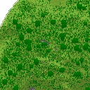 DonutSMP mapart #36563 (uncategorised)