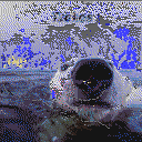 DonutSMP mapart #37782 (uncategorised)
