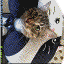 DonutSMP mapart #4109 (animals)