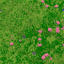DonutSMP mapart #42664 (uncategorised)