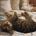 DonutSMP mapart #43261 (uncategorised)
