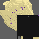 DonutSMP mapart #45888 (uncategorised)
