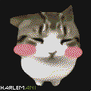 DonutSMP mapart #48711 (uncategorised)