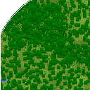 DonutSMP mapart #48843 (uncategorised)