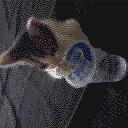 DonutSMP mapart #5045 (animals)