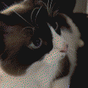 DonutSMP mapart #5072 (animals)