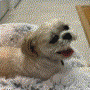 DonutSMP mapart #51719 (uncategorised)