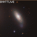DonutSMP mapart #53337 (uncategorised)