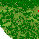 DonutSMP mapart #53633 (uncategorised)