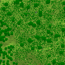 DonutSMP mapart #54500 (uncategorised)