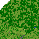 DonutSMP mapart #54542 (uncategorised)