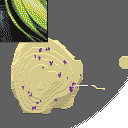 DonutSMP mapart #54878 (uncategorised)