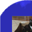 DonutSMP mapart #60783 (uncategorised)