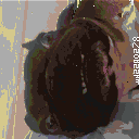 DonutSMP mapart #62145 (uncategorised)