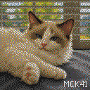 DonutSMP mapart #63331 (uncategorised)