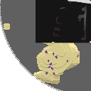 DonutSMP mapart #63700 (uncategorised)
