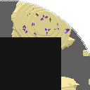 DonutSMP mapart #64453 (uncategorised)