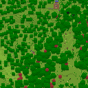DonutSMP mapart #64766 (uncategorised)