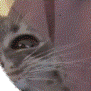 DonutSMP mapart #64849 (uncategorised)