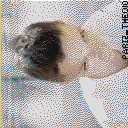 DonutSMP mapart #9001 (uncategorised)